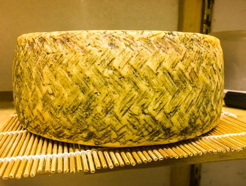 Cheese Making Workshop - Successful Aging - Image 10