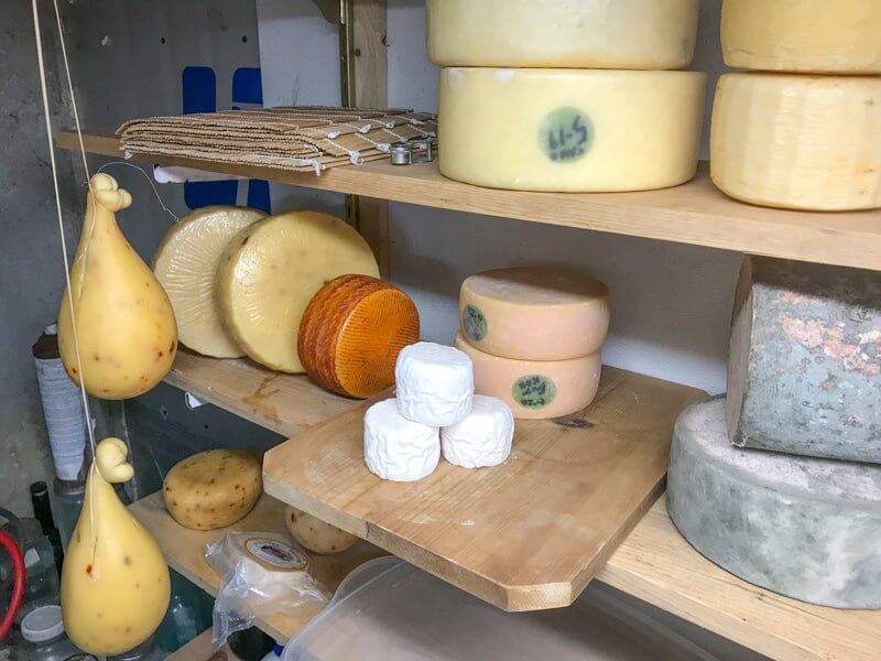 Cheese Making Workshop - Successful Aging - Image 3