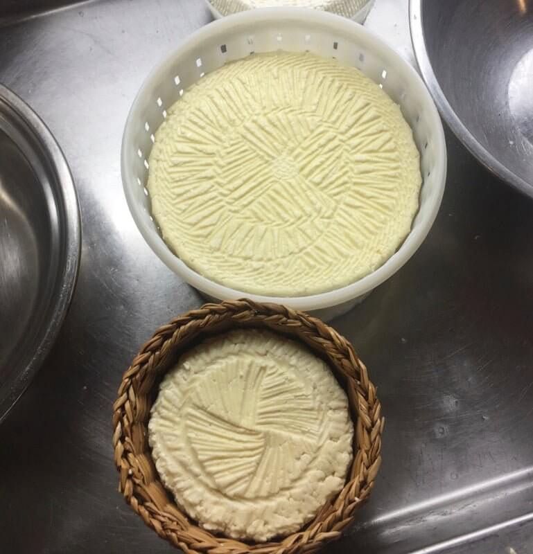 Cheese Making Workshop - Successful Aging - Image 7